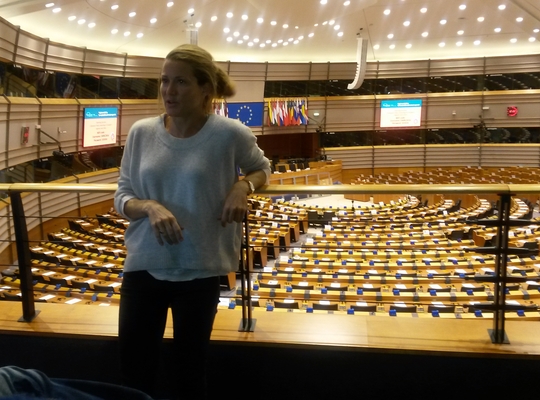 Europarlementslid Anneleen Van Bossuyt Europarlementslid Anneleen Van Bossuyt