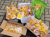 Mooie pakjes